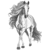 Pferd