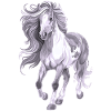 Cheval à longue crinière