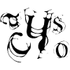 Chaos