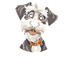 Schnauzer