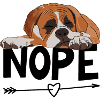 Boxer Dog Nope