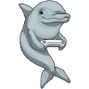Dolphin Gamer Controller