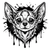 chihuahua black and wihte