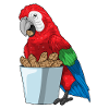 Parrot Peanuts