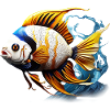 Angelfish