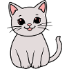 gray kitten