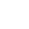 Established 1994