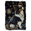 Papillon Chien Nuit Étoilée