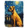 Boxer Nuit étoilée