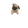 Carlin et l’amour du café