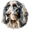 Setter Portrait - Painted