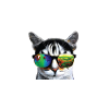 Cool Cat