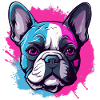 Bouledogue français coquin