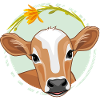 Cute peeking calf
