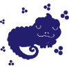 Salamander - Amphibian Animal
