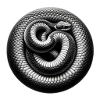 Snake Point Crazy