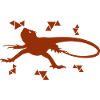 Salamander - Amphibian Animal