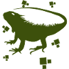 Bearded dragon - amphibian animal