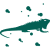 Bearded dragon - amphibian animal