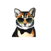 Coolest cat