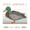 Duck Mallard