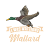 Canard colvert