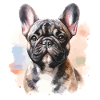 Bouledogue français à l’aquarelle