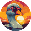 Cool Duck Sunglasses Water Sunset