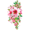 Fleurs roses.