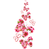 Papillons fleurs roses