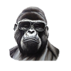 Cool gorilla
