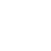 lion édition limitée