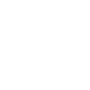 Année du Dragon 2024