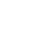 Année du Dragon 2024