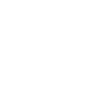 Année du Dragon 2024