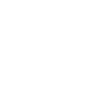 Année du Dragon 2024