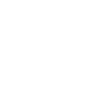 Année du Dragon 2024