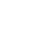 Année du Dragon 2024
