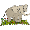 Elefant