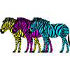 Zebras