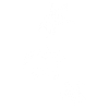 Trois tortues marines (blanc)