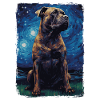 Presa Canario Nuit étoilée