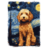 Lagotto Romagnolo Nuit étoilée