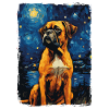 Boxer Nuit étoilée