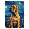 Presa Canario Starry Night
