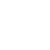 Master falconer
