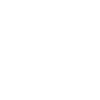 Future Falconer in progress