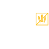 Gluten Free Gluten Intolerance
