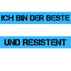 Resistenter Informatiker