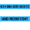 Architecte résistant